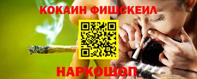 индика Камень-на-Оби