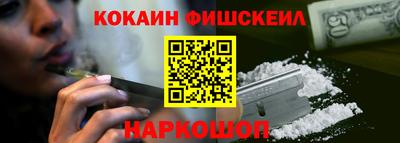 индика Камень-на-Оби
