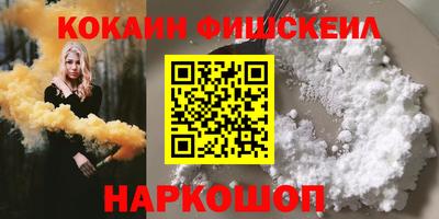 индика Камень-на-Оби