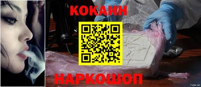 индика Камень-на-Оби