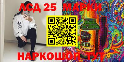 индика Камень-на-Оби