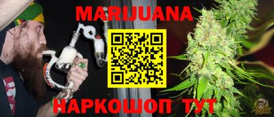индика Камень-на-Оби