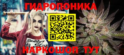индика Камень-на-Оби