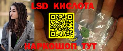 индика Камень-на-Оби