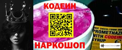 индика Камень-на-Оби