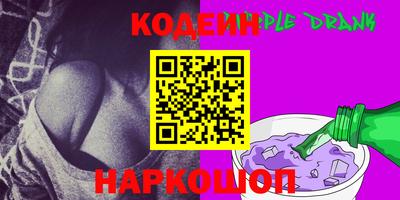 индика Камень-на-Оби